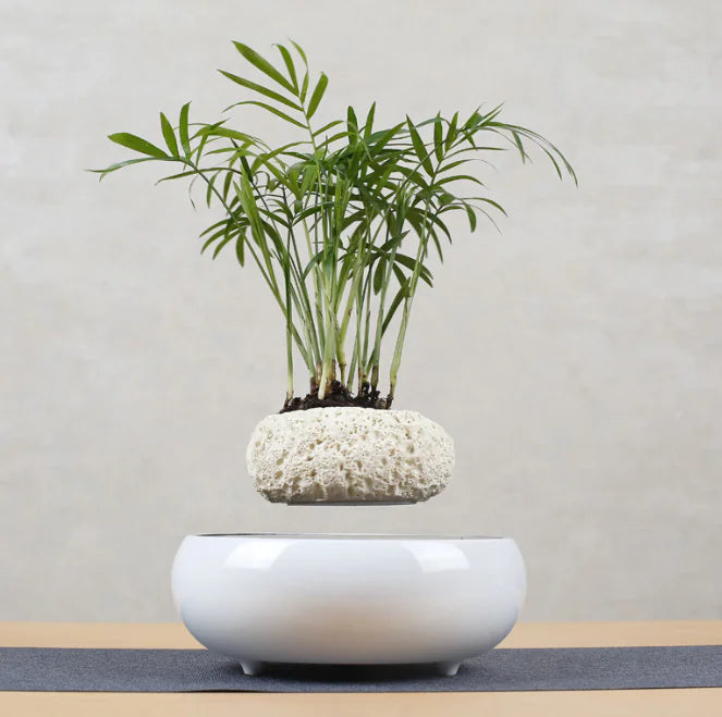 Floating Flower Pot for Home Decor